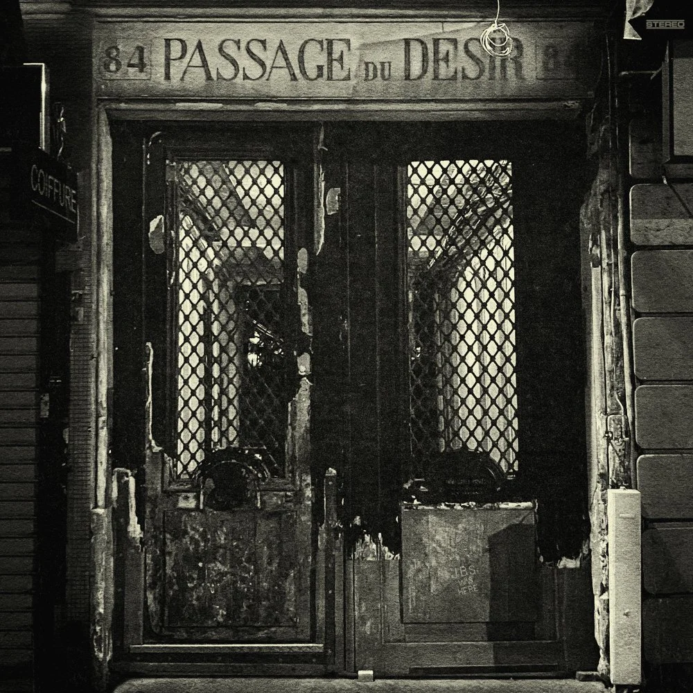 album review: 'passage du desir' by johnny blue skies (sturgill